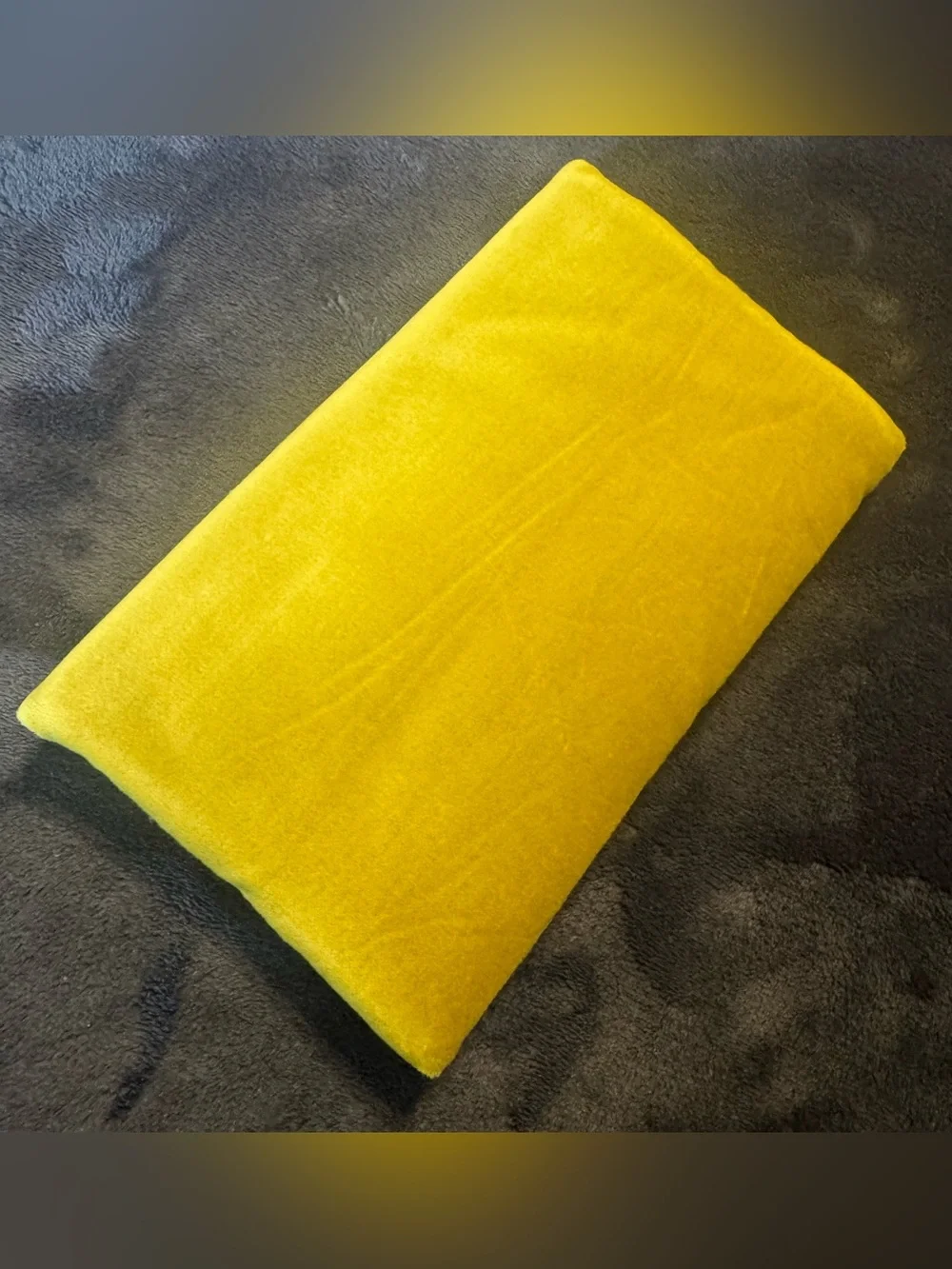 Gucci  Limited Edition Velvet Soft Padded Sunglass Case / Clutch NWOT